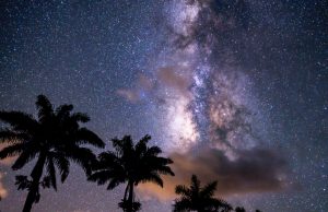 Palms and Milky Way